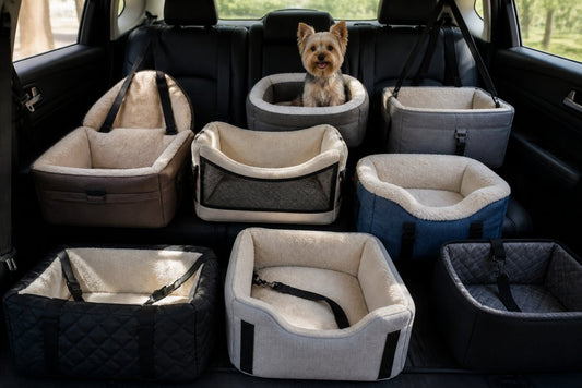 10 Best Dog Car Booster Seats for Small Dogs in 2026