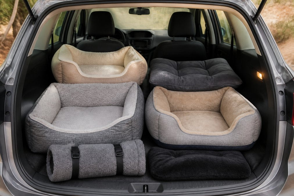 5 Best Travel Dog Beds for Small Cars & Road Trips (2026)