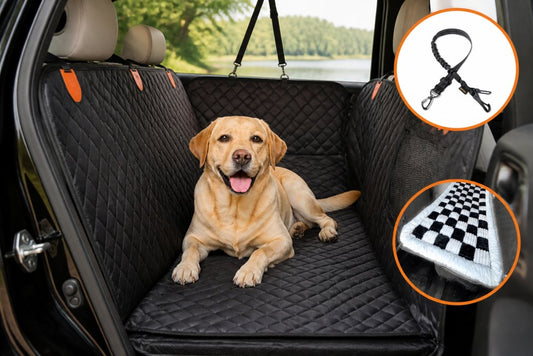 Best Dog Gear for Travel 2026