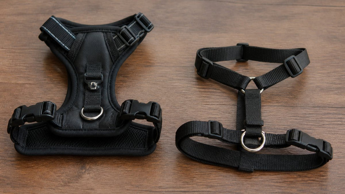 No-Pull Dog Harness vs Front Clip Harness: 2026 Guide