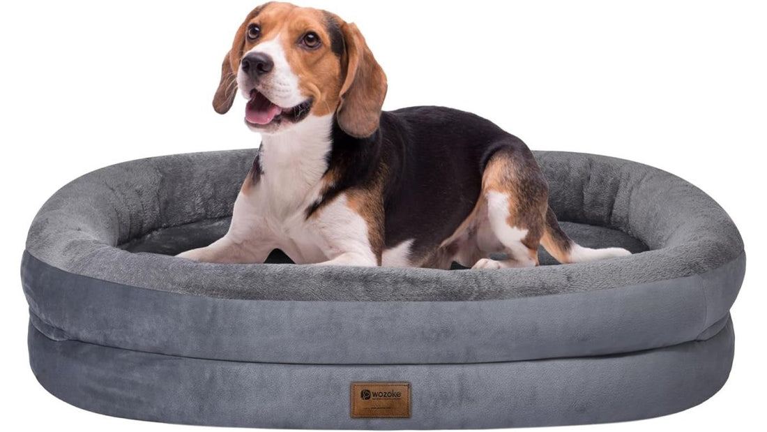 How to Clean an Orthopedic Dog Bed Cover: Step-by-Step
