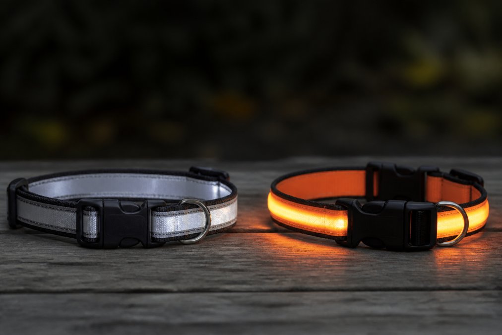 Reflective Dog Collar vs LED Collar for Night Walks