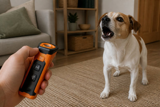Stop Dog Barking With Training Tools: A Guide