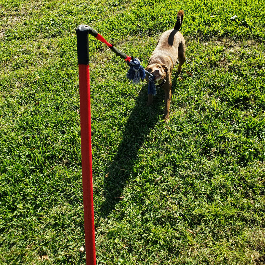 Durable Dog Tug Toy Kit for All Sizes – Solo Play & Heavy Duty Options