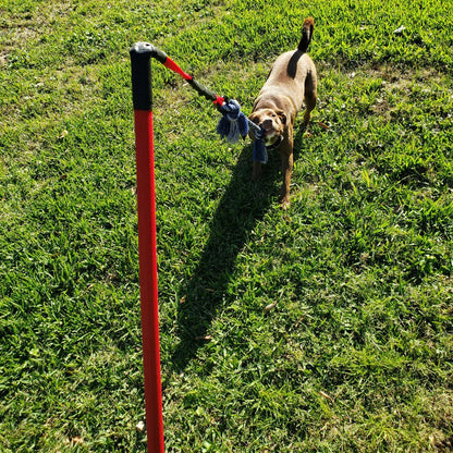 Durable Dog Tug Toy Kit for All Sizes – Solo Play & Heavy Duty Options - Paw Fit Gears