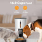 Timed Automatic Cat Feeders - 4L Programable Dry Food Dispenser for Cats and Small Medium Dogs 6 Meals with Desiccant Bag Dual Power Supply 10S Voice Recorder