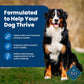 Life Protection Formula Adult Dry Dog Food, Helps Build and Maintain Strong Muscles, Made with Natural Ingredients, Chicken & Brown Rice Recipe, 30-Lb. Bag