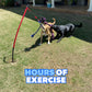 Durable Dog Tug Toy Kit for All Sizes – Solo Play & Heavy Duty Options