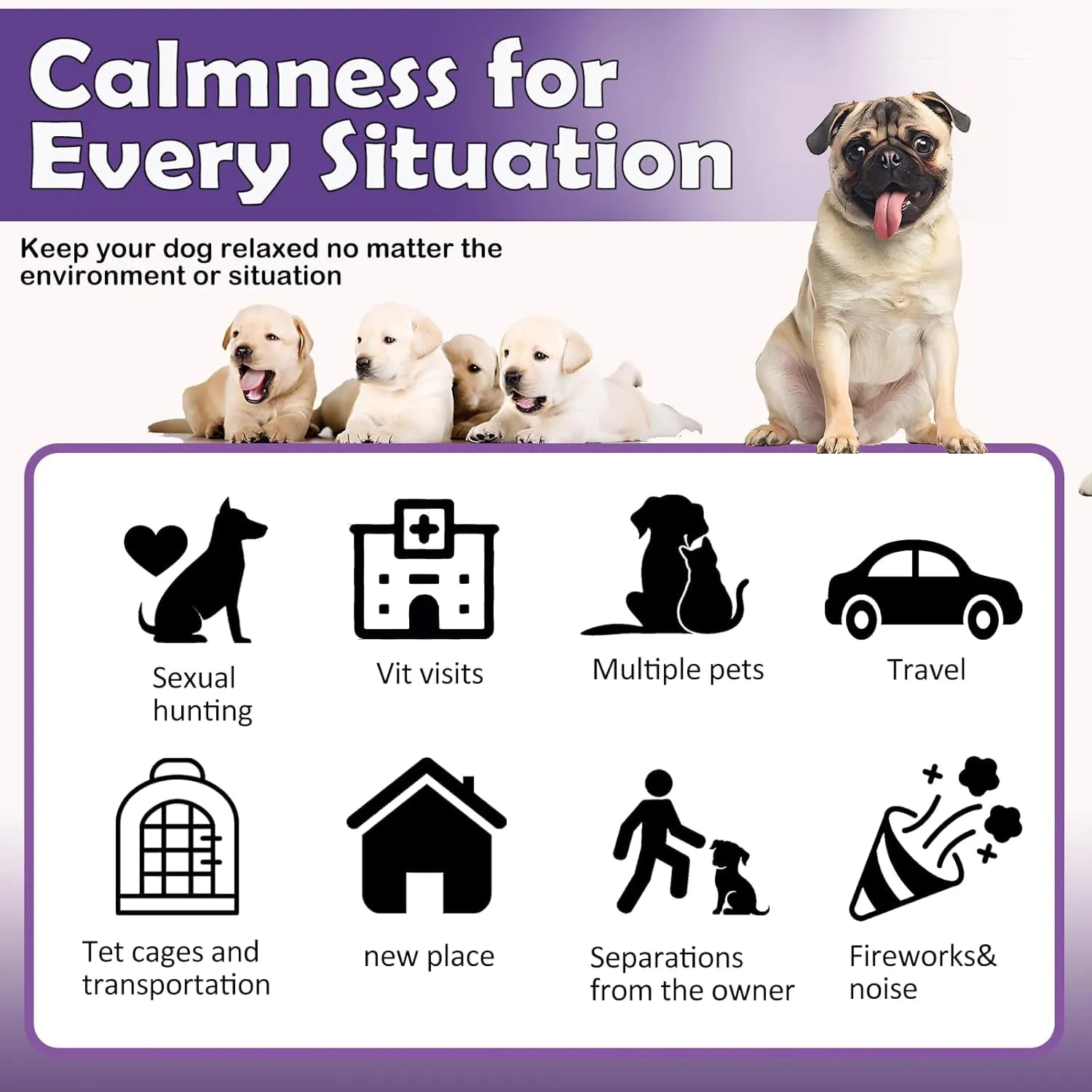 Natural Pheromone Calming Collar - Paw Fit Gears