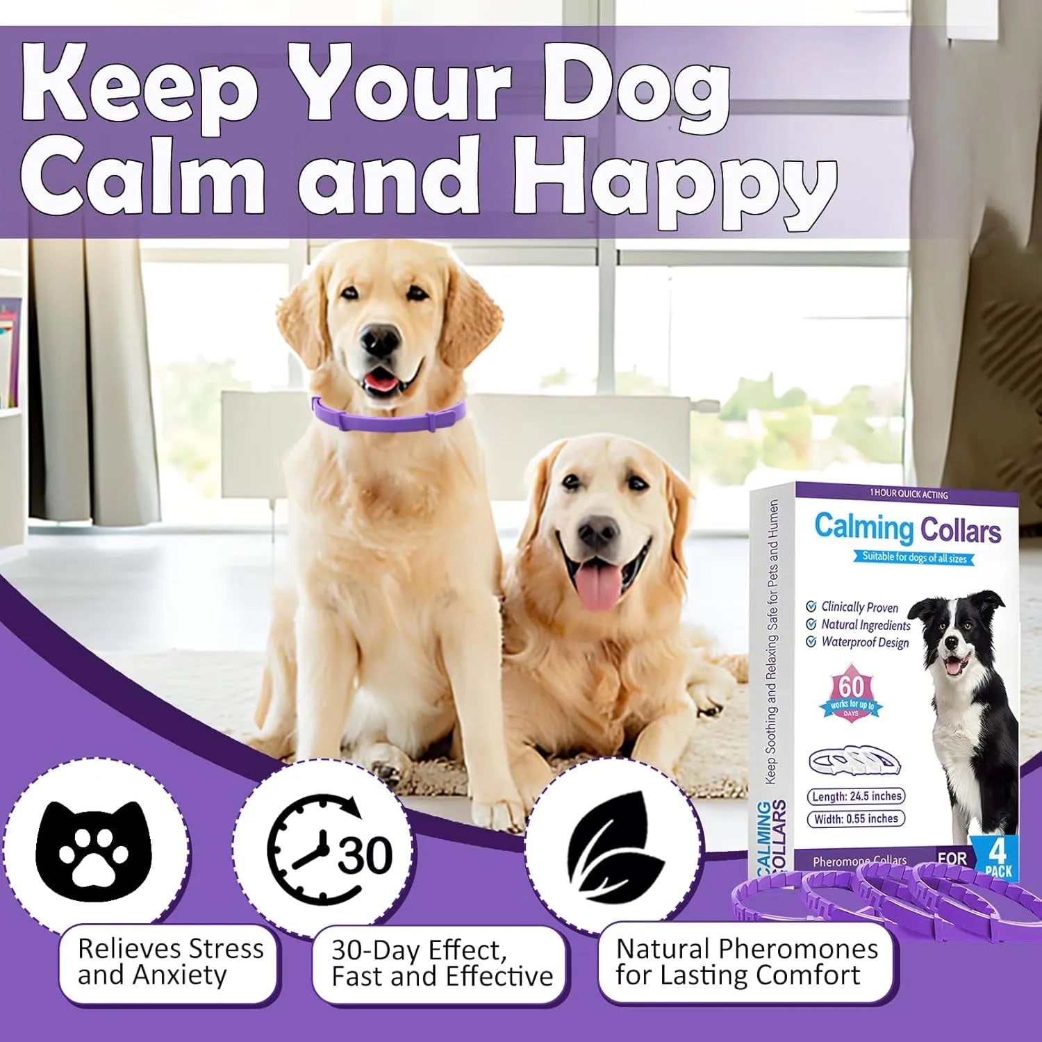 Natural Pheromone Calming Collar - Paw Fit Gears