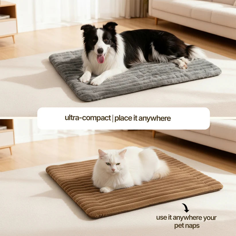 Self-heating pet mat