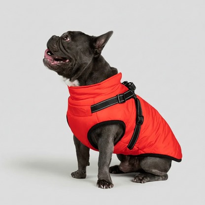 3 in 1 Winter Jacket + FREE Dog Safety Belt