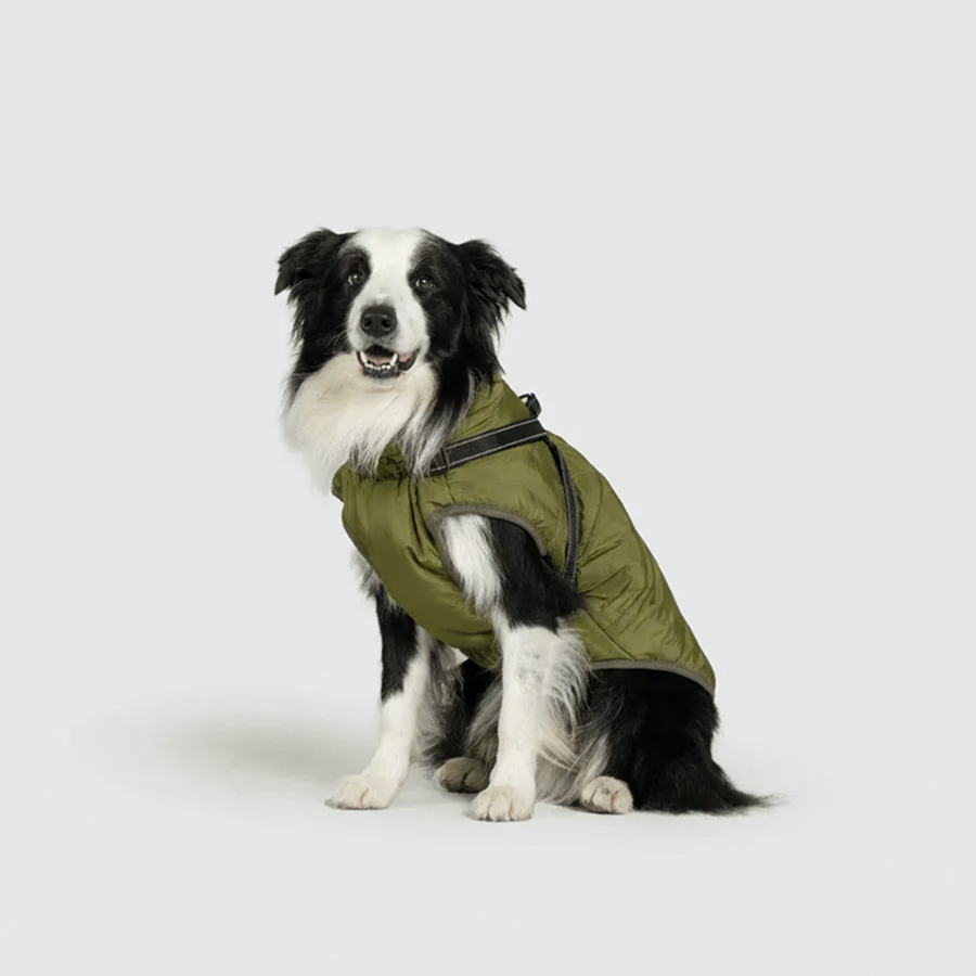 3 in 1 Winter Jacket + FREE Dog Safety Belt