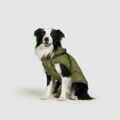 3 in 1 Winter Jacket + FREE Dog Safety Belt
