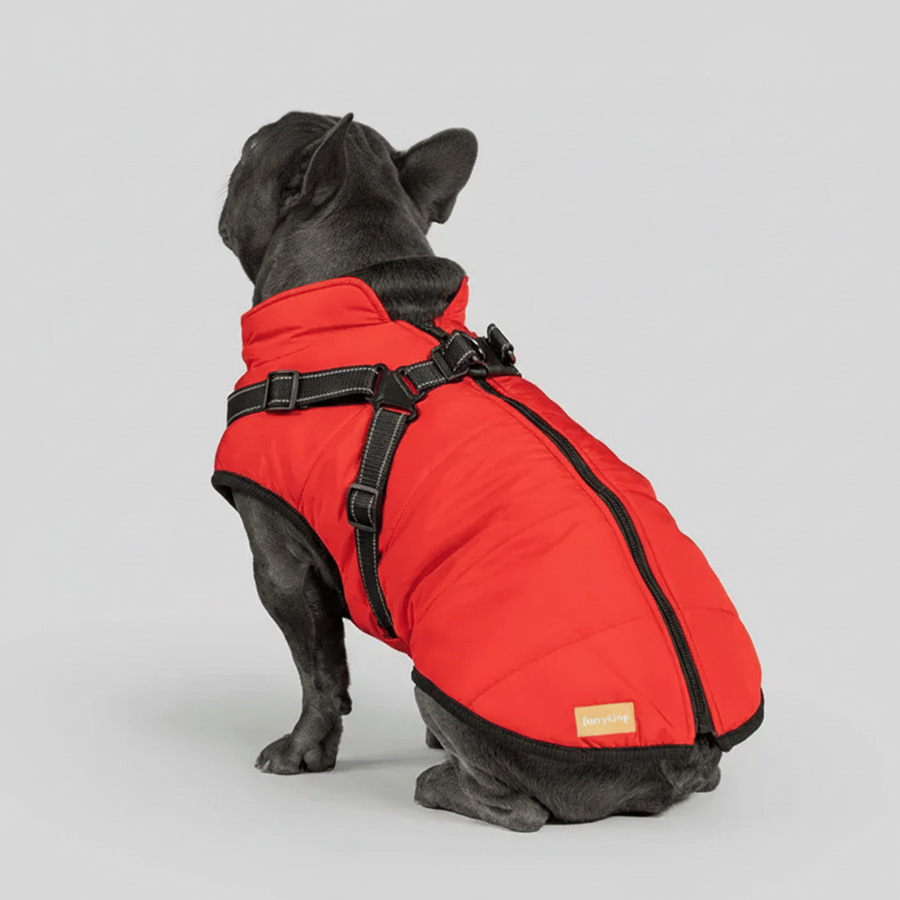 3 in 1 Winter Jacket + FREE Dog Safety Belt