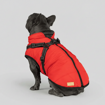 3 in 1 Winter Jacket + FREE Dog Safety Belt