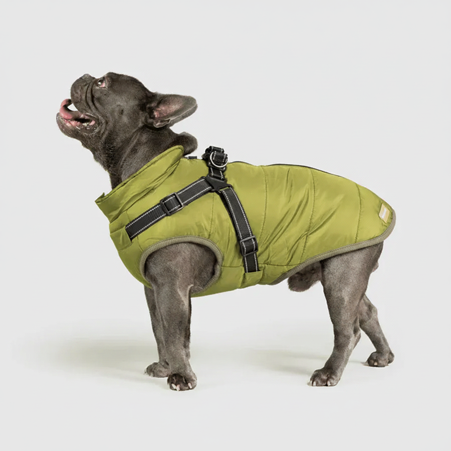 3 in 1 Winter Jacket + FREE Dog Safety Belt