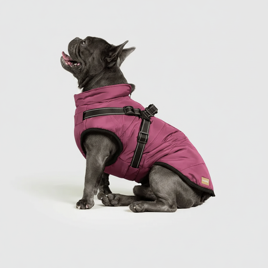 3 in 1 Winter Jacket + FREE Dog Safety Belt