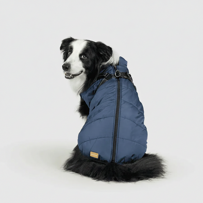 3 in 1 Winter Jacket + FREE Dog Safety Belt