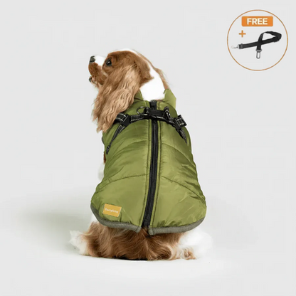 3 in 1 Winter Jacket + FREE Dog Safety Belt