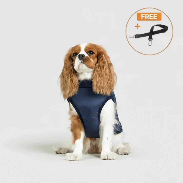 3 in 1 Winter Jacket + FREE Dog Safety Belt