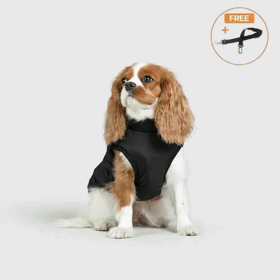3 in 1 Winter Jacket + FREE Dog Safety Belt