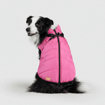 3 in 1 Winter Jacket + FREE Dog Safety Belt