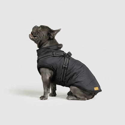 3 in 1 Winter Jacket + FREE Dog Safety Belt