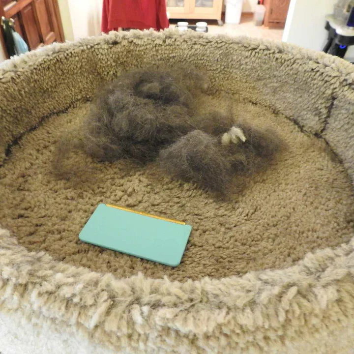 Complete Home Survival Kit