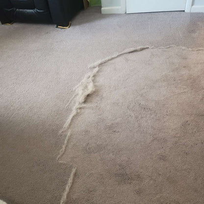 Complete Home Survival Kit